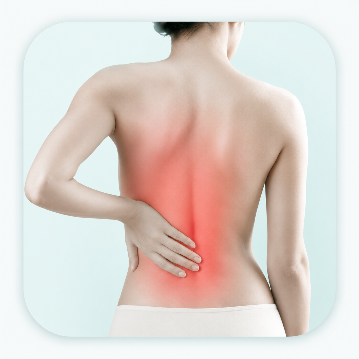 Back Support